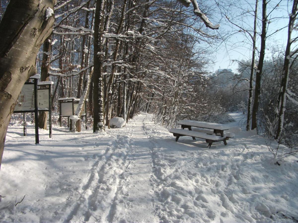 Ferienwohnung Krottensee Gmunden Zewnętrze zdjęcie