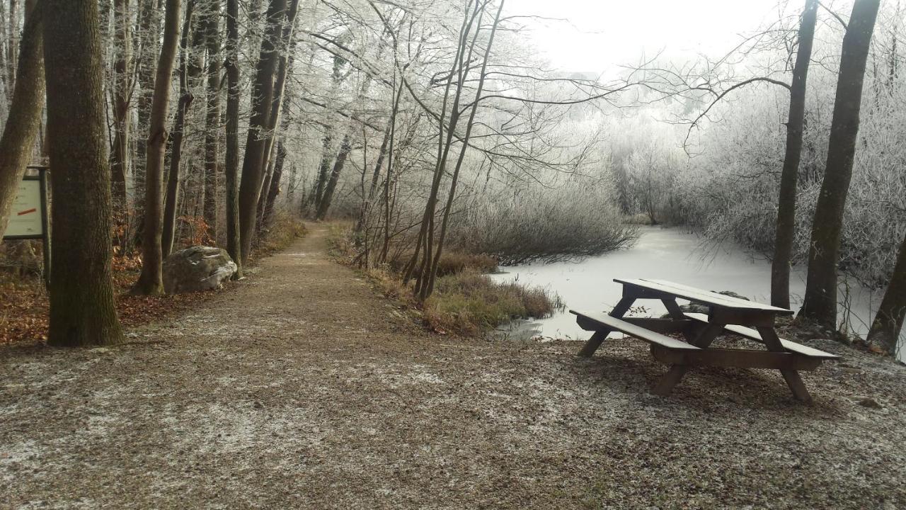 Ferienwohnung Krottensee Gmunden Zewnętrze zdjęcie