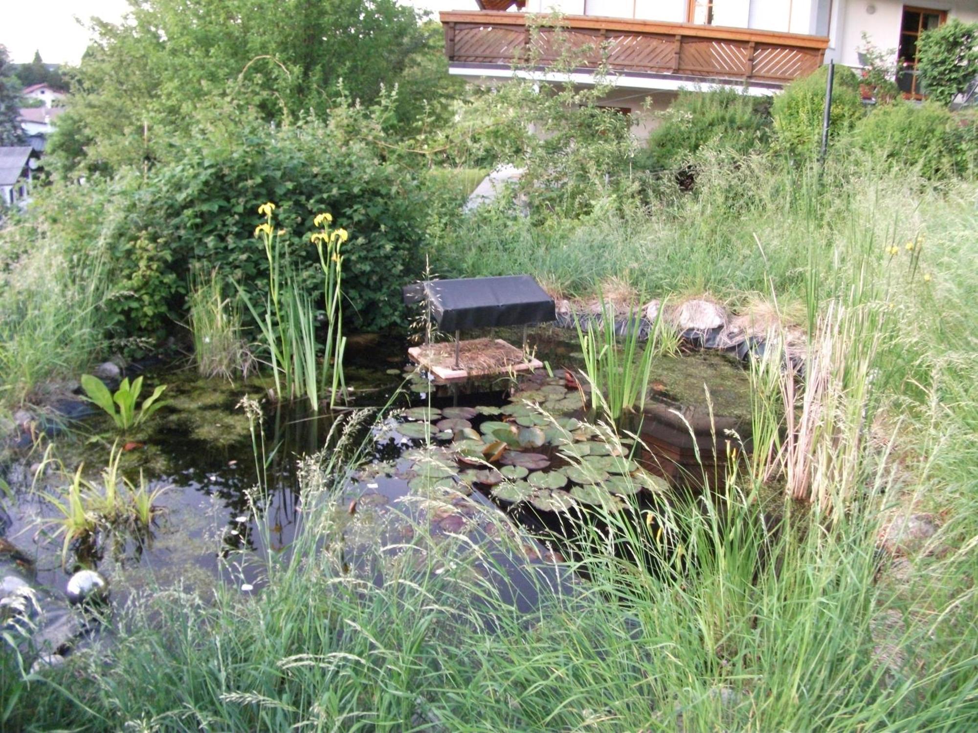 Ferienwohnung Krottensee Gmunden Zewnętrze zdjęcie